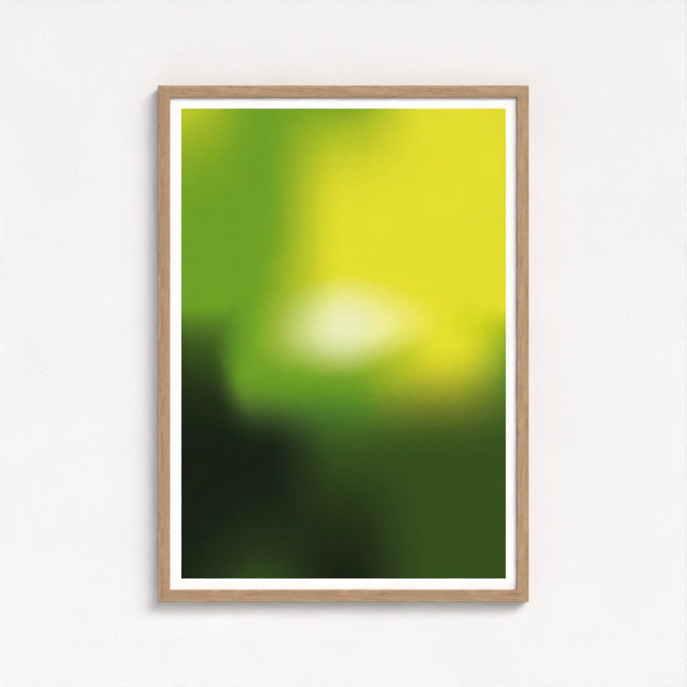 Lost in the Jungle Framed Print