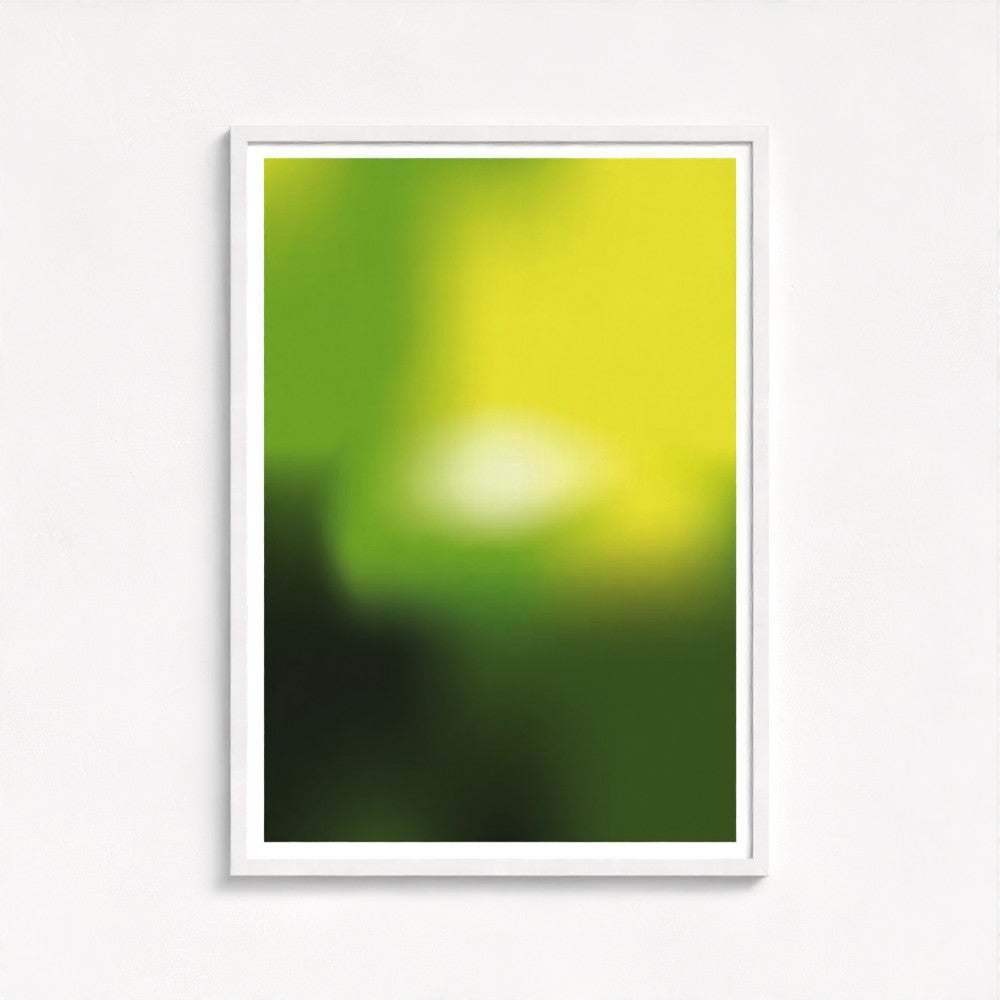 Lost in the Jungle Framed Print